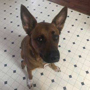 Meet your Posher, Rhea